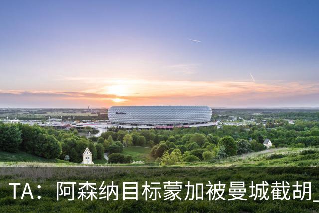 TA：阿森纳目标蒙加被曼城截胡 厄德高没与其他球队达协议